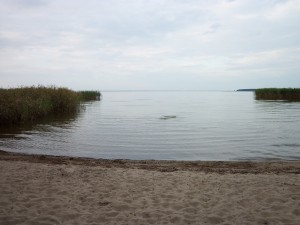 plaża w Warsin nad Zalewem Szczecińskim